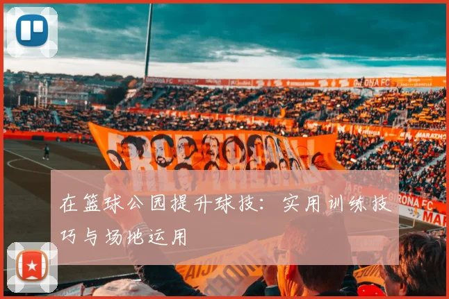 在篮球公园提升球技：实用训练技巧与场地运用